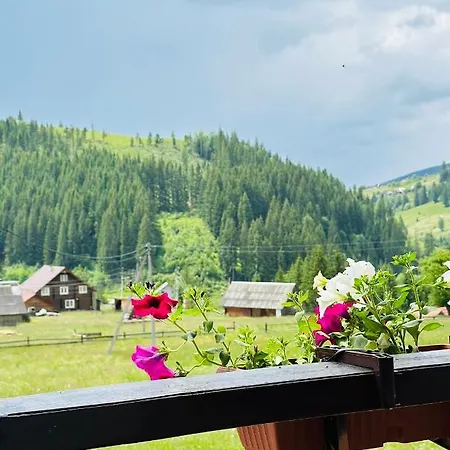 Lileya Буковель